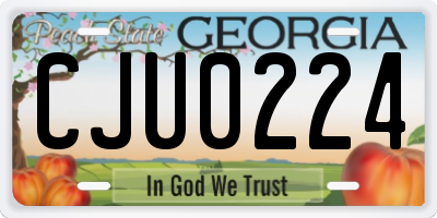 GA license plate CJU0224