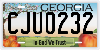 GA license plate CJU0232