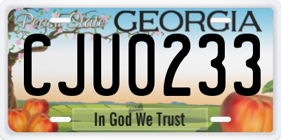GA license plate CJU0233