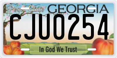 GA license plate CJU0254