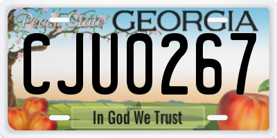 GA license plate CJU0267