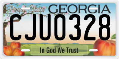 GA license plate CJU0328