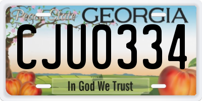 GA license plate CJU0334