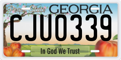 GA license plate CJU0339