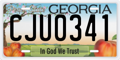 GA license plate CJU0341