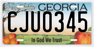 GA license plate CJU0345