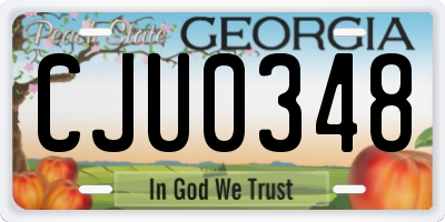GA license plate CJU0348