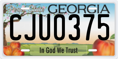 GA license plate CJU0375