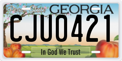 GA license plate CJU0421