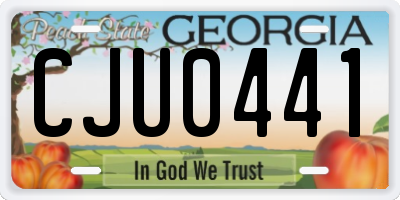 GA license plate CJU0441