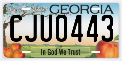 GA license plate CJU0443