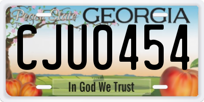 GA license plate CJU0454