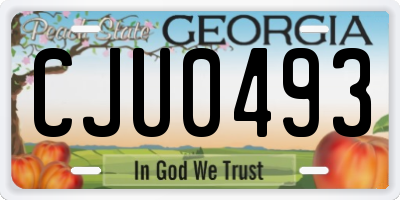 GA license plate CJU0493