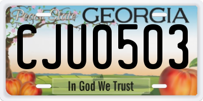 GA license plate CJU0503