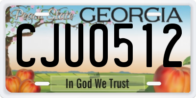 GA license plate CJU0512