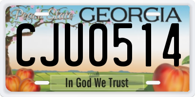 GA license plate CJU0514