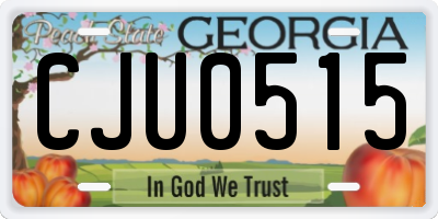 GA license plate CJU0515