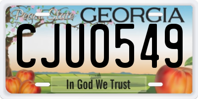 GA license plate CJU0549