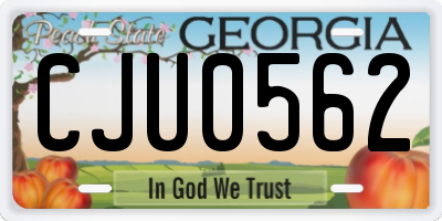GA license plate CJU0562