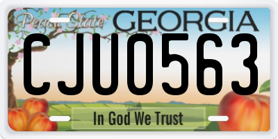GA license plate CJU0563