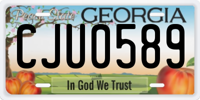 GA license plate CJU0589