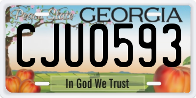 GA license plate CJU0593