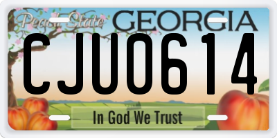 GA license plate CJU0614