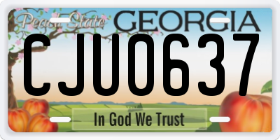 GA license plate CJU0637