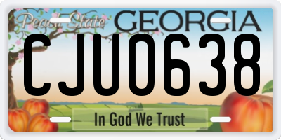 GA license plate CJU0638