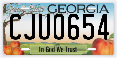 GA license plate CJU0654