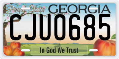 GA license plate CJU0685