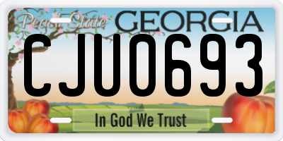 GA license plate CJU0693