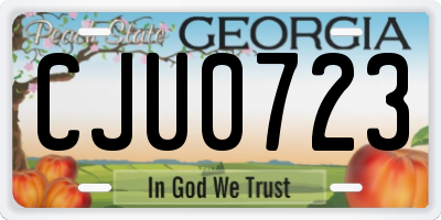 GA license plate CJU0723