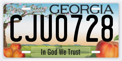 GA license plate CJU0728