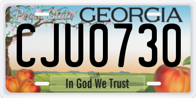 GA license plate CJU0730