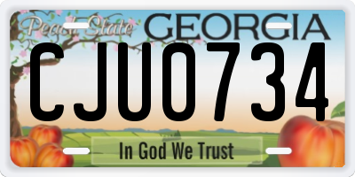 GA license plate CJU0734