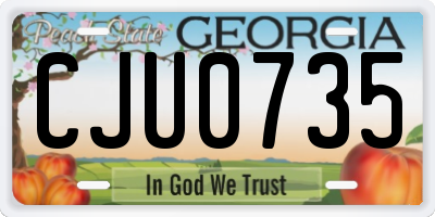 GA license plate CJU0735