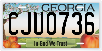 GA license plate CJU0736