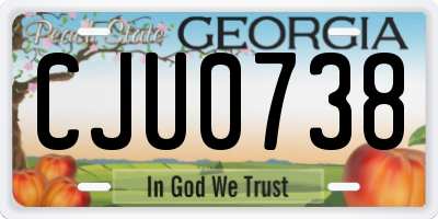 GA license plate CJU0738