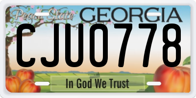 GA license plate CJU0778