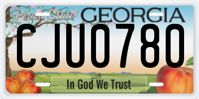 GA license plate CJU0780