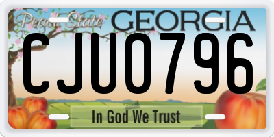 GA license plate CJU0796