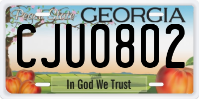 GA license plate CJU0802