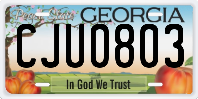 GA license plate CJU0803