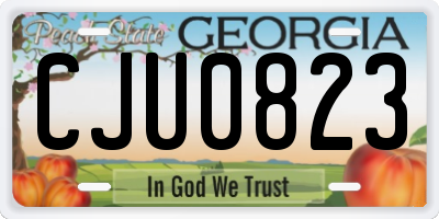 GA license plate CJU0823
