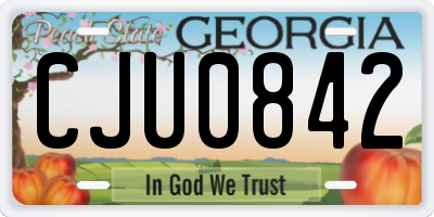 GA license plate CJU0842