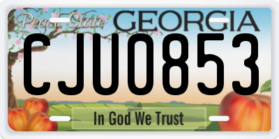 GA license plate CJU0853