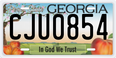 GA license plate CJU0854