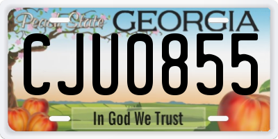 GA license plate CJU0855