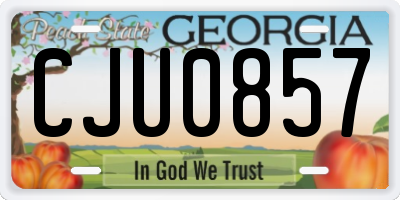 GA license plate CJU0857
